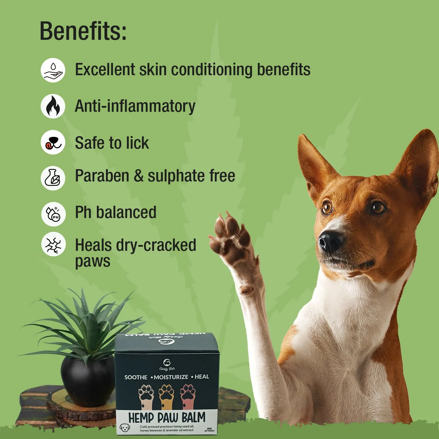 Goofy Tails Hemp Paw Cream   Hemp Oil For Dogs and Puppies - Combo